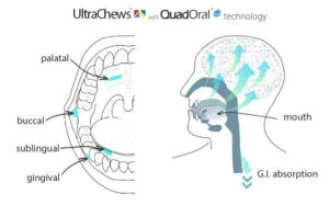 QuadOral FoodPharma UltraChew