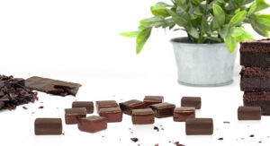 UltraChew chocolate flavor nutritional softchews foodpharma manufacturing