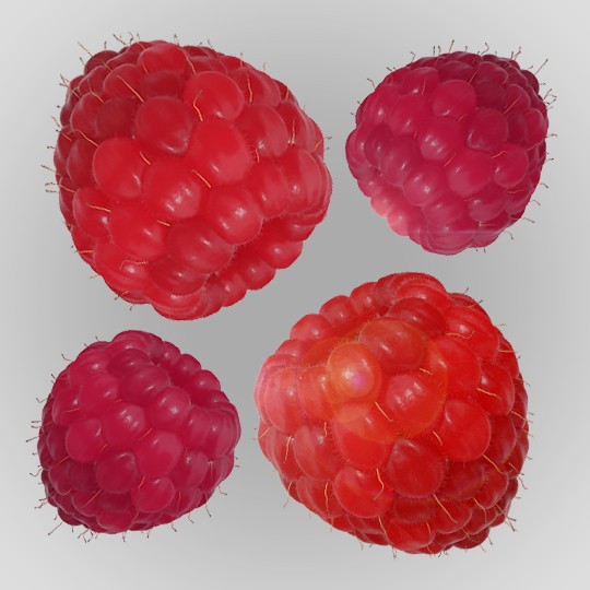 raspberry natural organic ingredients foodpharma