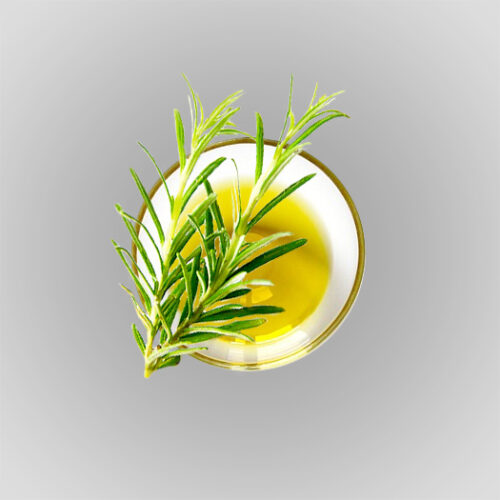 rosemary extract natural organic ingredients foodpharma contract food manufacturing
