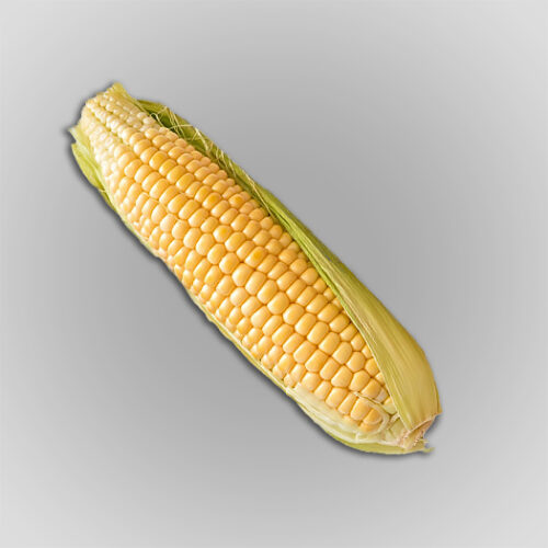 corn natural organic ingredients foodpharma contract food manufacturing