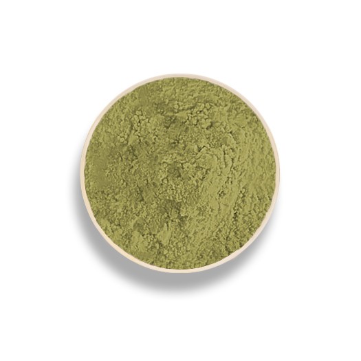 lemon balm leaf powder natural organic foodpharma contract food manufacturing