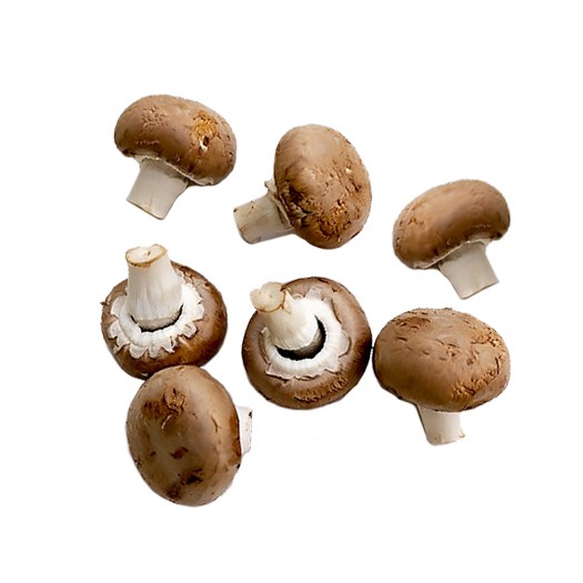 mushrooms natural organic ingredients foodpharma contract food manufacturing