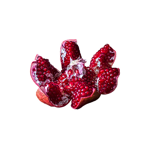 pomegranate foodpharma botanical ingredients