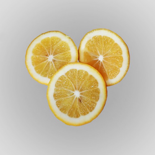 lemon botanical ingredients foodpharma