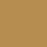 PB Brown #b68d50